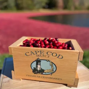 Wooden Keepsake Box with Fresh Cranberries